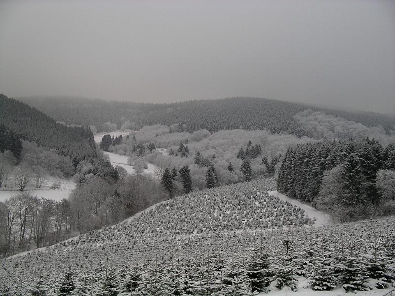 Winter 101.jpg